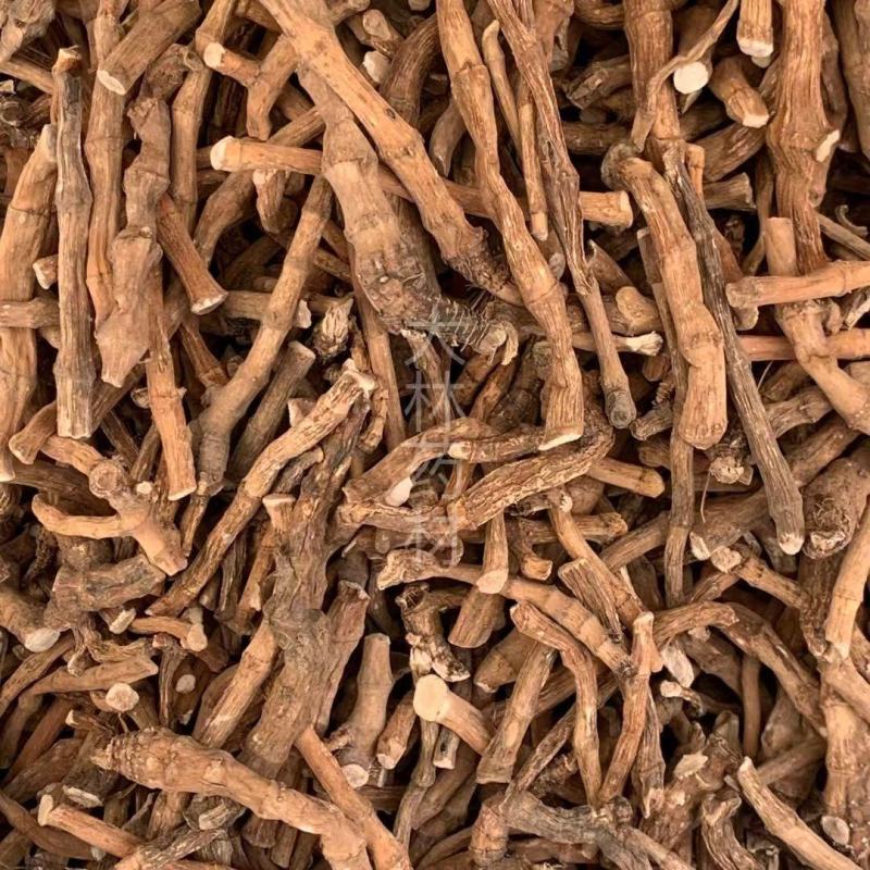 三白草【包邮】三斤起发货可批量可零售量大从优