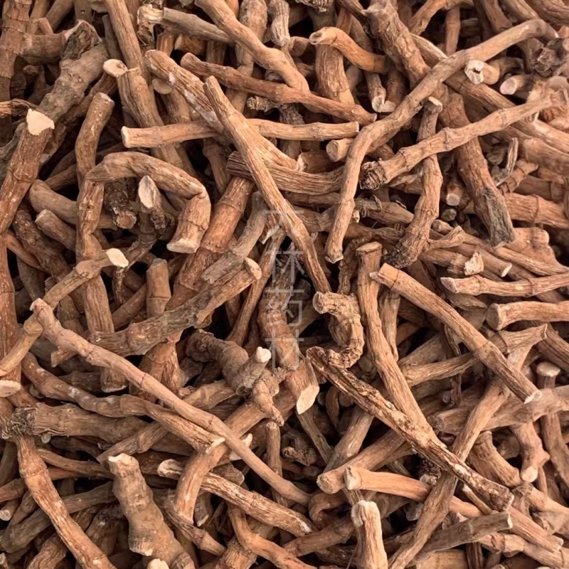 三白草【包邮】三斤起发货可批量可零售量大从优