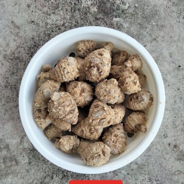 莪术，产地经营，货源充足质量很好，是一种很好中药材。