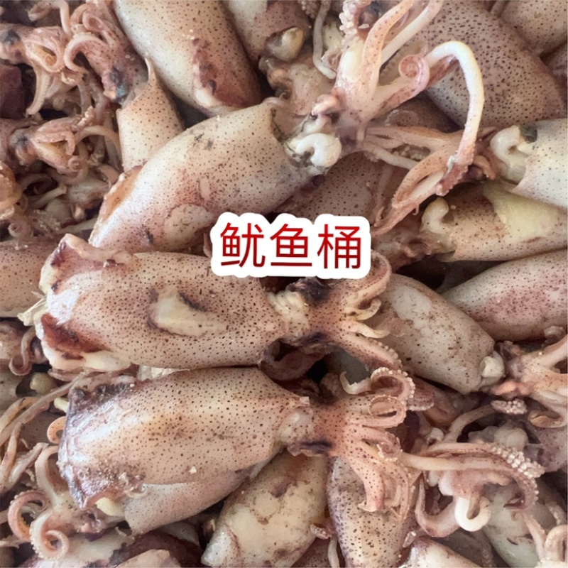 鱿鱼桶地摊批发电商小海兔干淡口小鱿鱼筒干货
