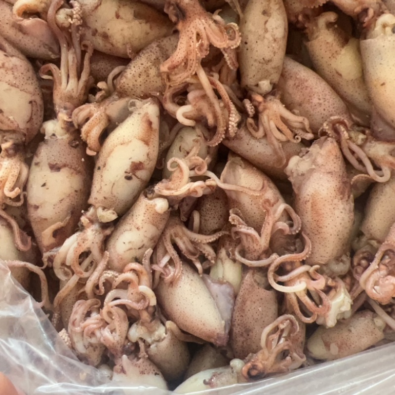 鱿鱼桶地摊批发电商小海兔干淡口小鱿鱼筒干货