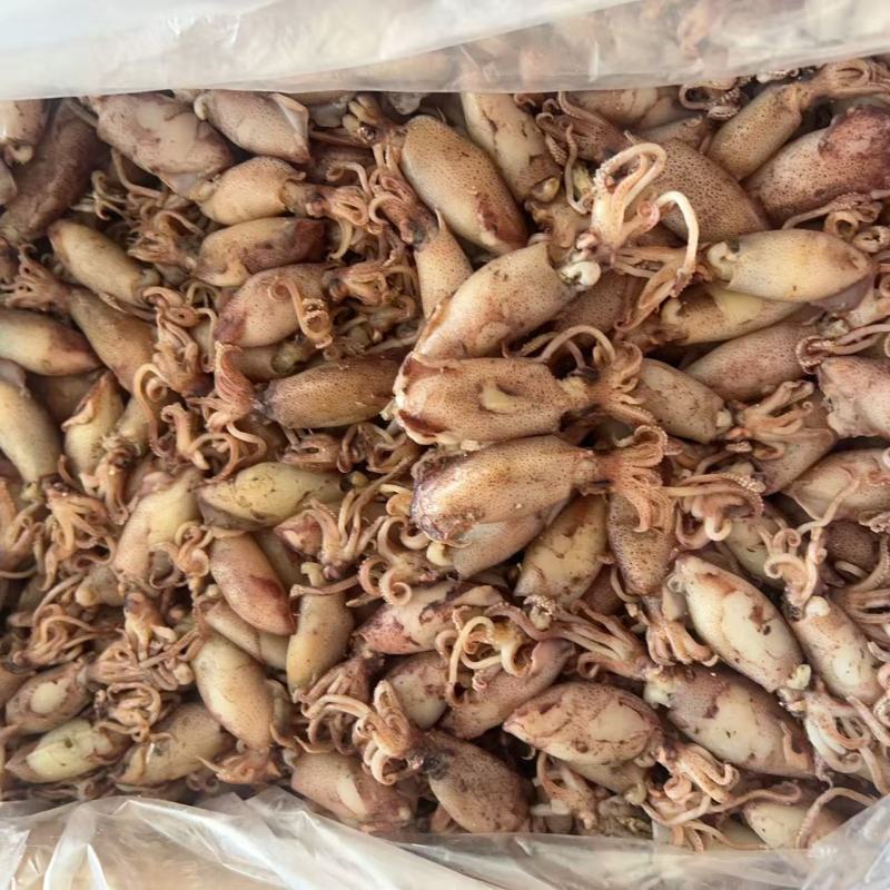 鱿鱼筒地摊电商批发墨鱼桶大号墨鱼仔鱿鱼干鱿鱼仔墨鱼干