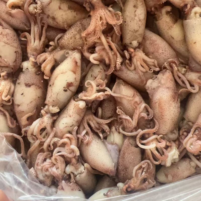 鱿鱼筒地摊电商批发墨鱼桶大号墨鱼仔鱿鱼干鱿鱼仔墨鱼干
