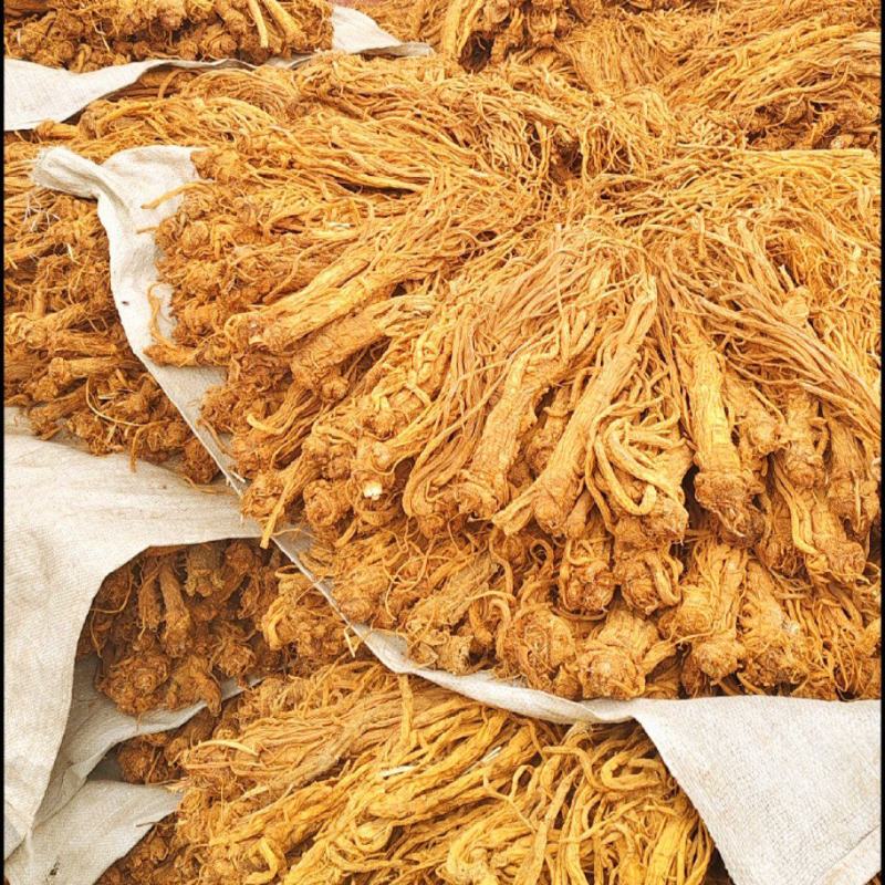 独活水洗货产地直供，量大从优，物美价廉，长期供货欢迎选购