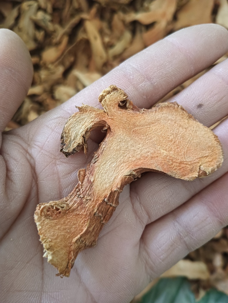 高良姜，良姜实物实拍，规格任选，量大超优惠鲁赣药材