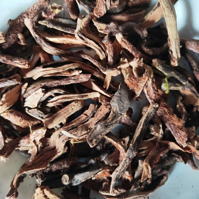 骨碎补~毛姜~干货干净无杂志