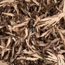 石菖蒲【包邮】三斤起发货可批量可零售量大从优