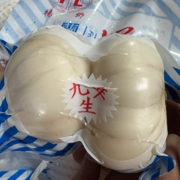 兰州鲜百合，小皇，大黄，小三头，大三头，二头，