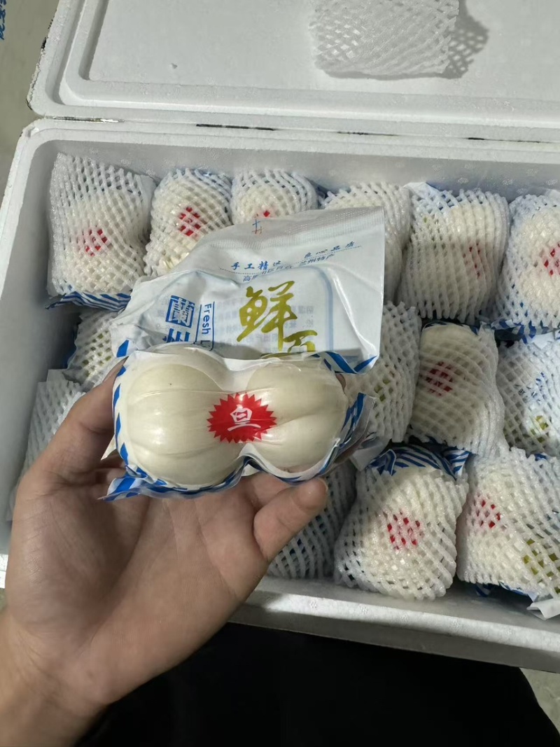 兰州鲜百合，小皇，大黄，小三头，大三头，二头，