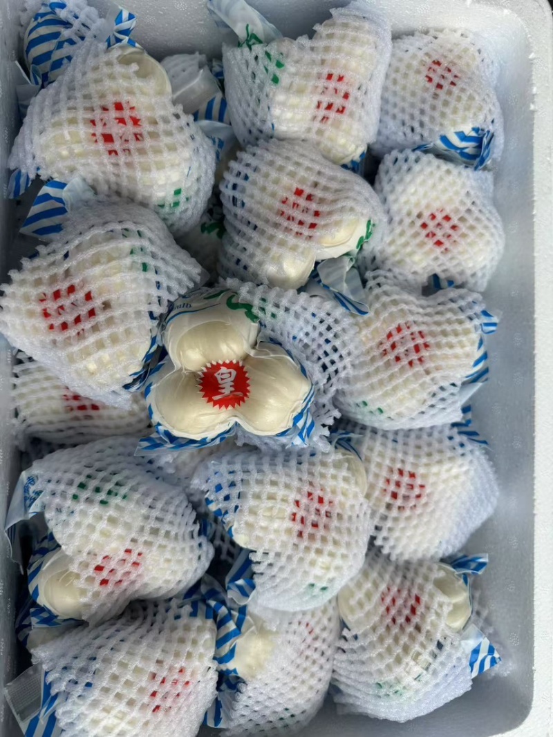 兰州鲜百合，小皇，大黄，小三头，大三头，二头，