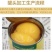 黄桃罐头正品整箱12罐装X425克砀山特产新鲜糖水水果罐