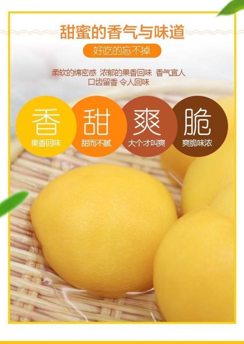 黄桃罐头正品整箱12罐装X425克砀山特产新鲜糖水水果罐