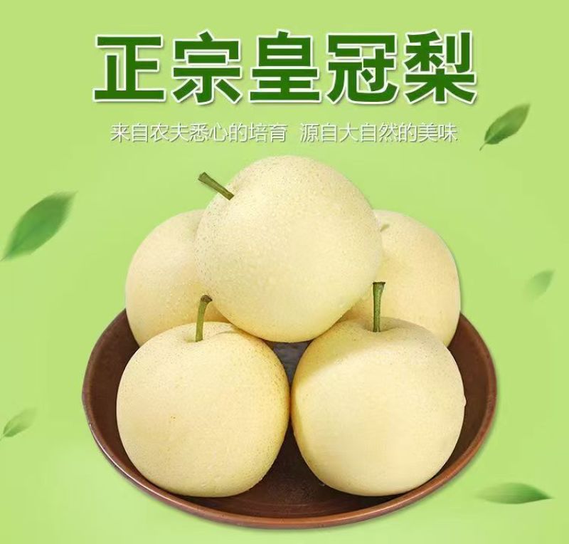 安徽砀山皇冠梨新鲜梨子整箱应季水果