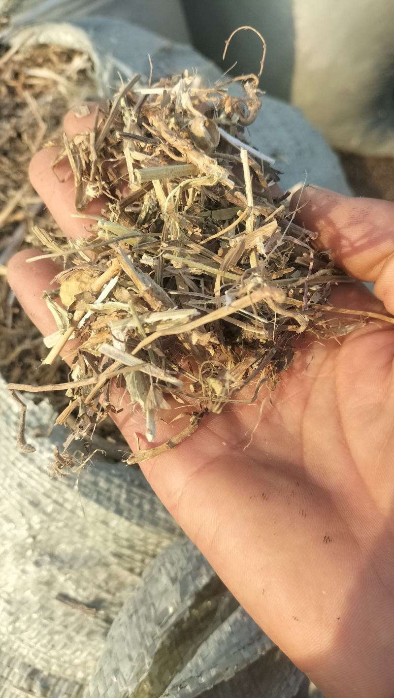 产地直销花生秧羊草
