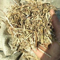 产地直销花生秧羊草