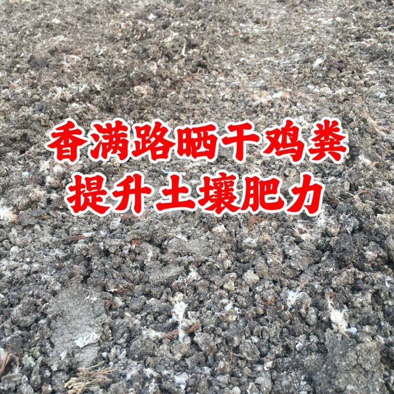 烟台干鸡粪,济南晒干鸡粪,潍坊干鸡粪块,青岛鸡粪,稻壳粪
