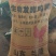 发酵鸡粪