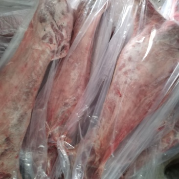 纯干无水白条羊，电商专用，饭店，羊肉馆卤煮炖汤都适合