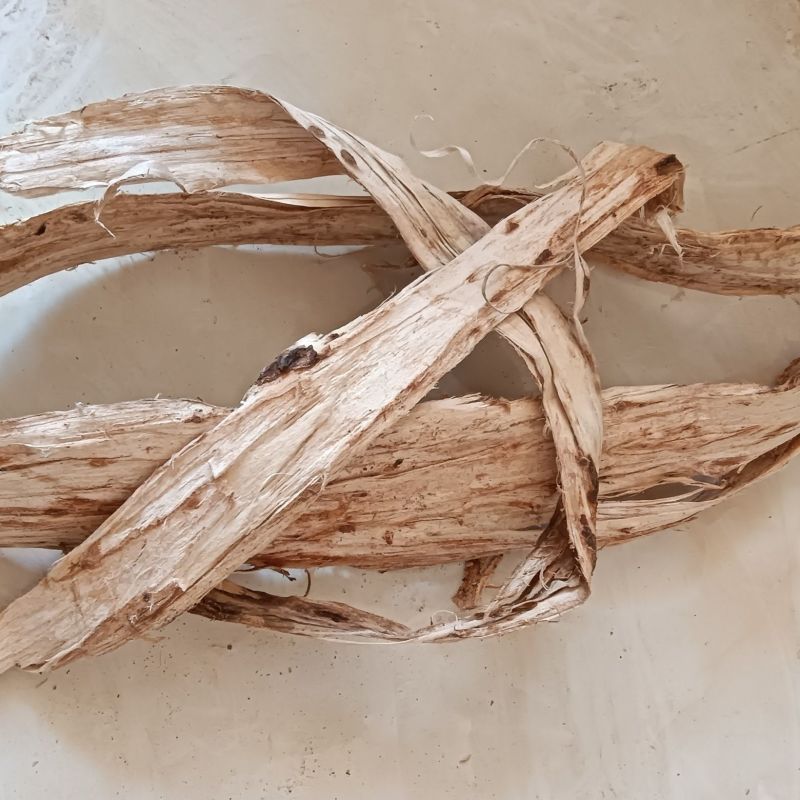 榆白皮粉，榆树内白皮细粉质量保证价格优惠