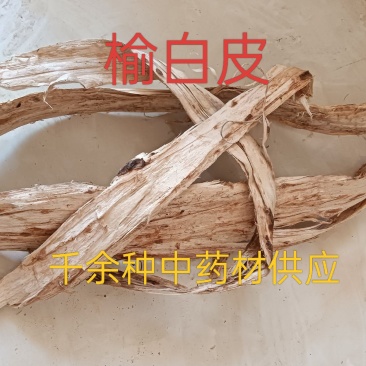 榆白皮，榆树皮内皮白皮个子切片均有质量保证价格优惠