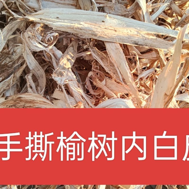 榆白皮，榆树皮内皮白皮个子切片均有质量保证价格优惠