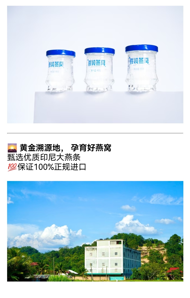 🔵小蓝盒·每日鲜炖燕窝🔵