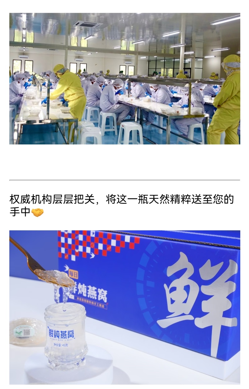 🔵小蓝盒·每日鲜炖燕窝🔵