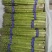 1000亩大棚绿芦笋销售大量上市欢迎大家洽谈