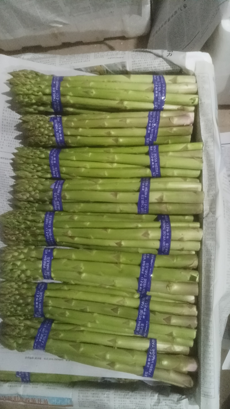 1000亩大棚绿芦笋销售大量上市欢迎大家洽谈