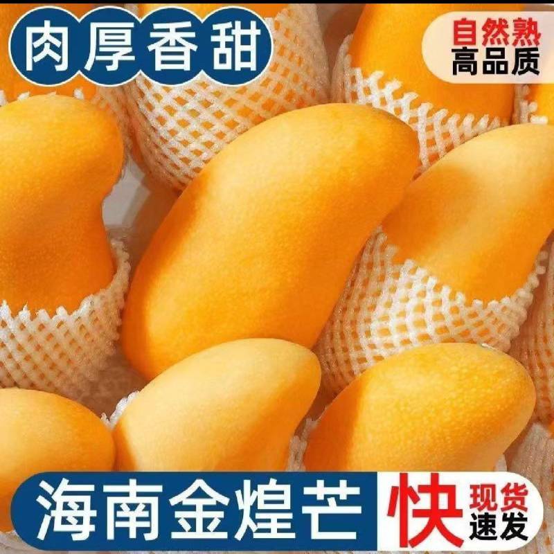 海南金煌芒，软糯香甜，大量供应电商，市场，超市，代发全国