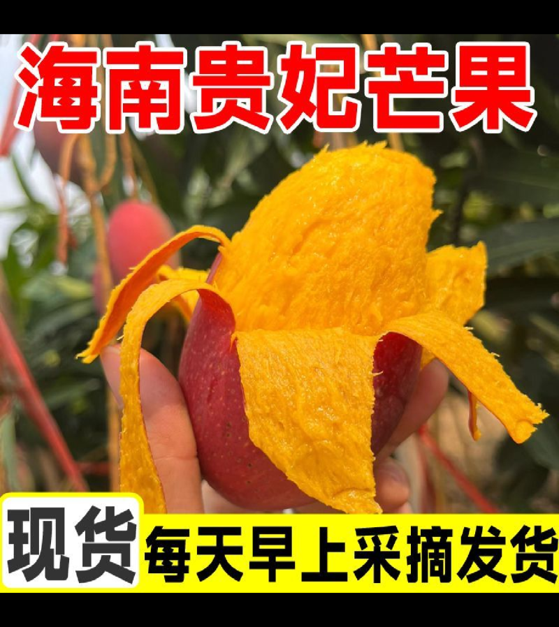 海南贵妃芒，软糯香甜，大量供应电商，市场，代发全国，保质