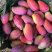 海南贵妃芒，软糯香甜，大量供应电商，市场，代发全国，保质
