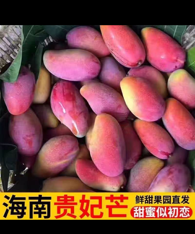 海南贵妃芒，软糯香甜，大量供应电商，市场，代发全国，保质