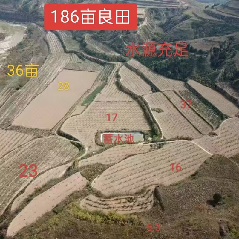 200亩水设施到位优等良田岀租