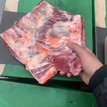 黄油牛小排带肉率高大量现货量大从优