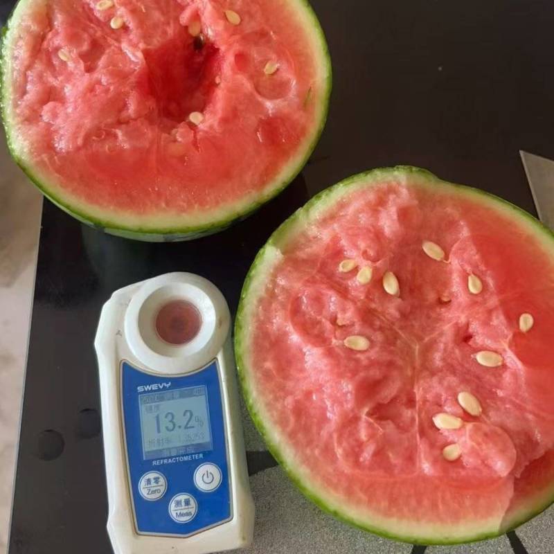 各种小吊瓜