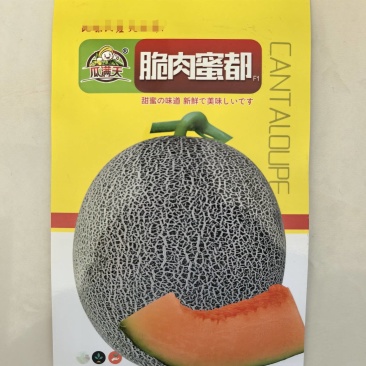 哈密瓜种冰糖蜜瓜种子橘红网纹哈蜜瓜籽基地种植甜度高肉厚
