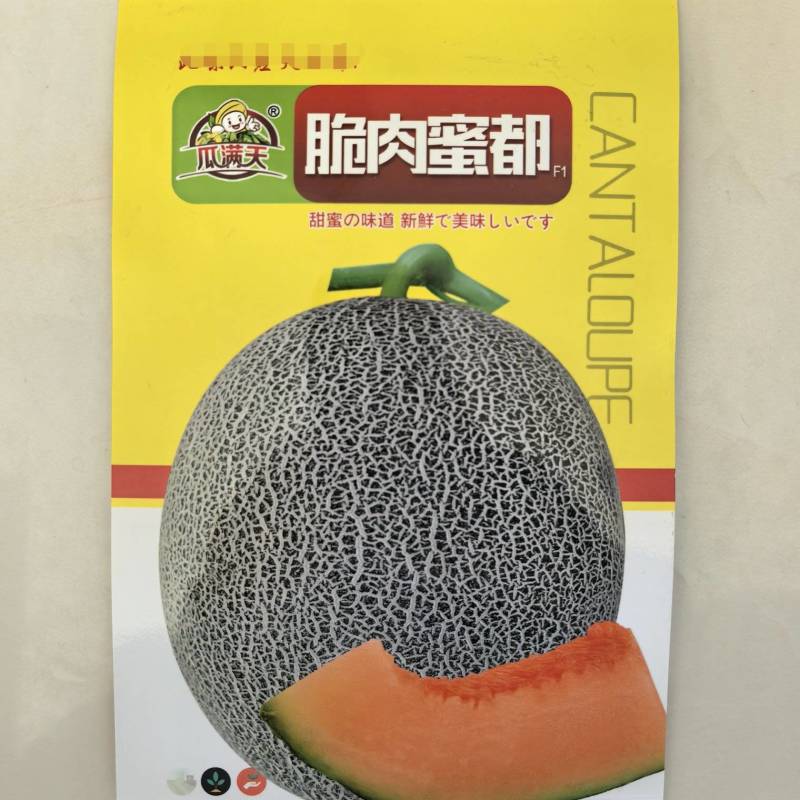 哈密瓜种冰糖蜜瓜种子橘红网纹哈蜜瓜籽基地种植甜度高肉厚