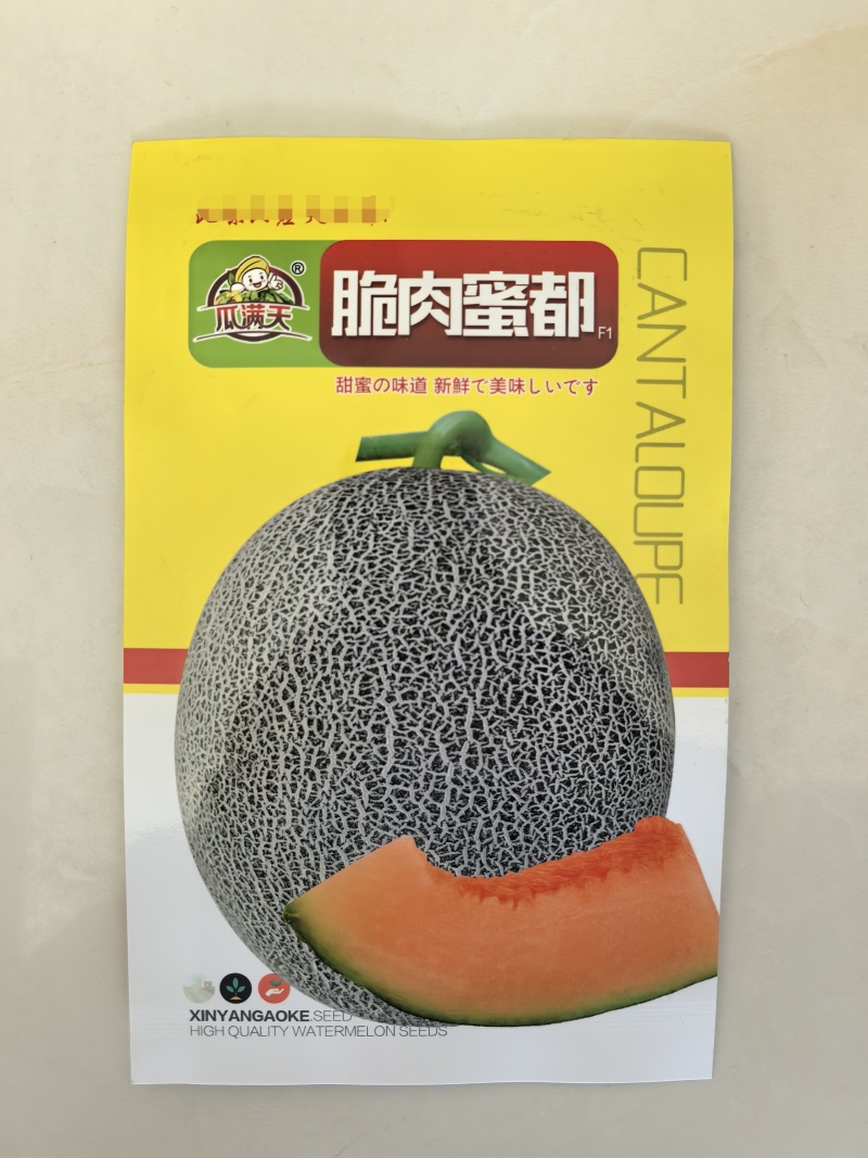 哈密瓜种冰糖蜜瓜种子橘红网纹哈蜜瓜籽基地种植甜度高肉厚