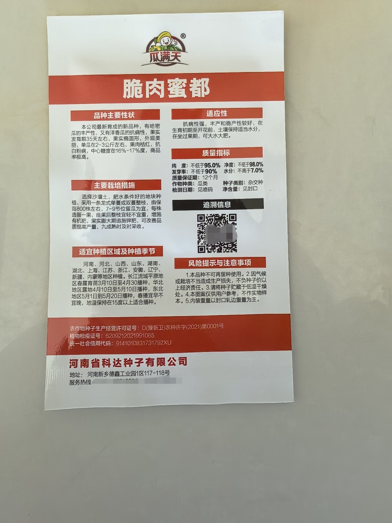 哈密瓜种冰糖蜜瓜种子橘红网纹哈蜜瓜籽基地种植甜度高肉厚