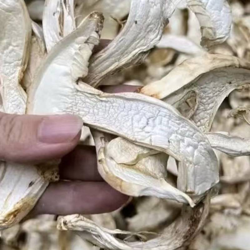 云南禄丰市去皮松茸干片全国直发，货好价低，都是一手货