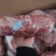 1号梅花肉厂家供应一手货源