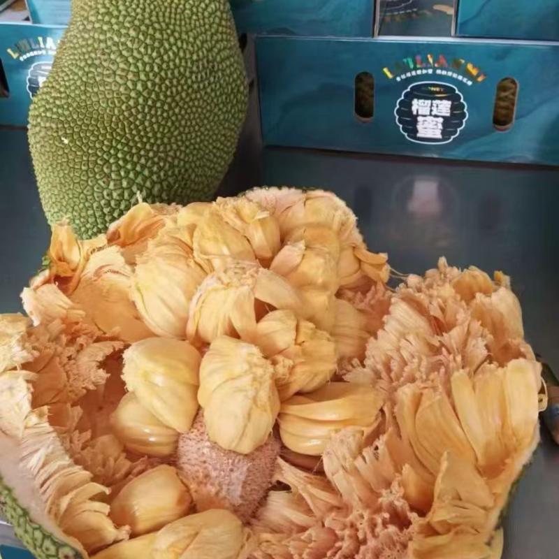 菠萝蜜海南菠萝蜜现摘现发产地直供一手货源