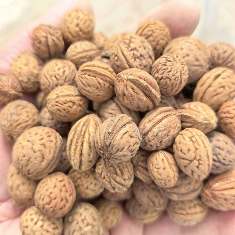 精品山桃胡工艺**