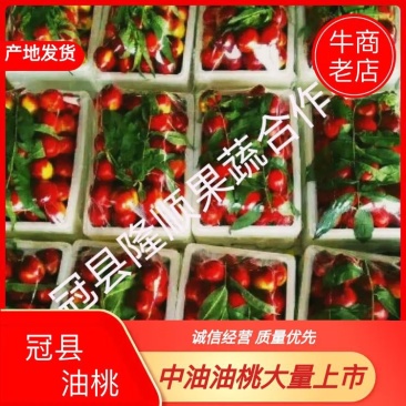 冠县中油油桃供应各大平台商超批发，质量保证，