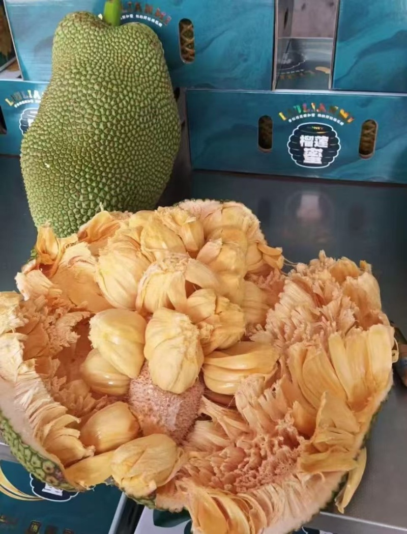 菠萝蜜海南菠萝蜜现摘现发产地直供一手货源