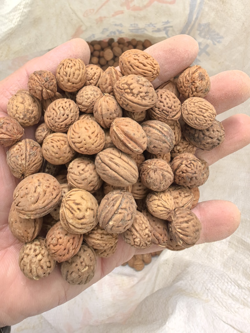 精品山桃胡工艺**