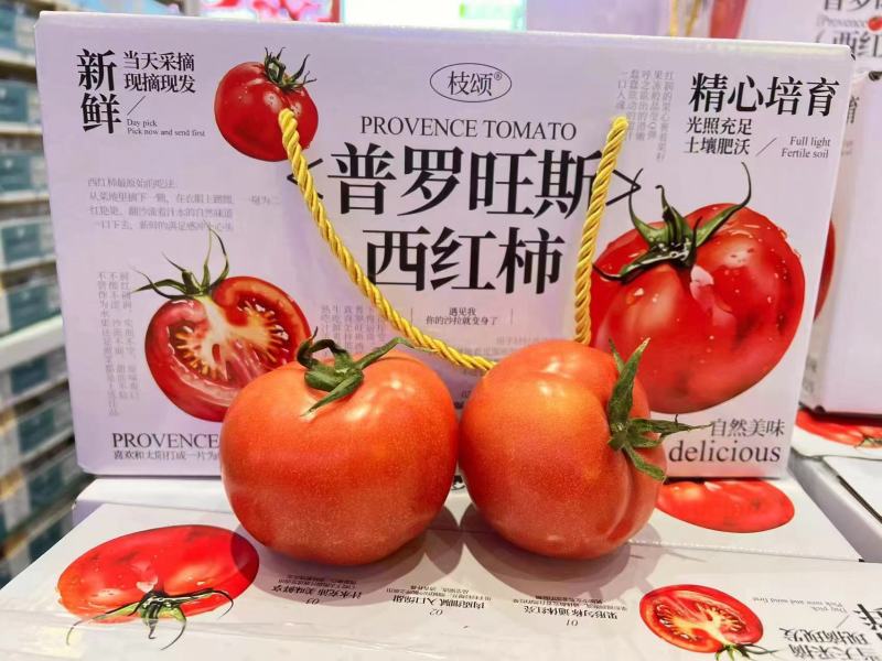 普罗旺斯整箱