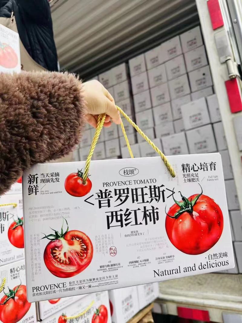普罗旺斯整箱