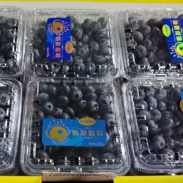 蓝莓整箱